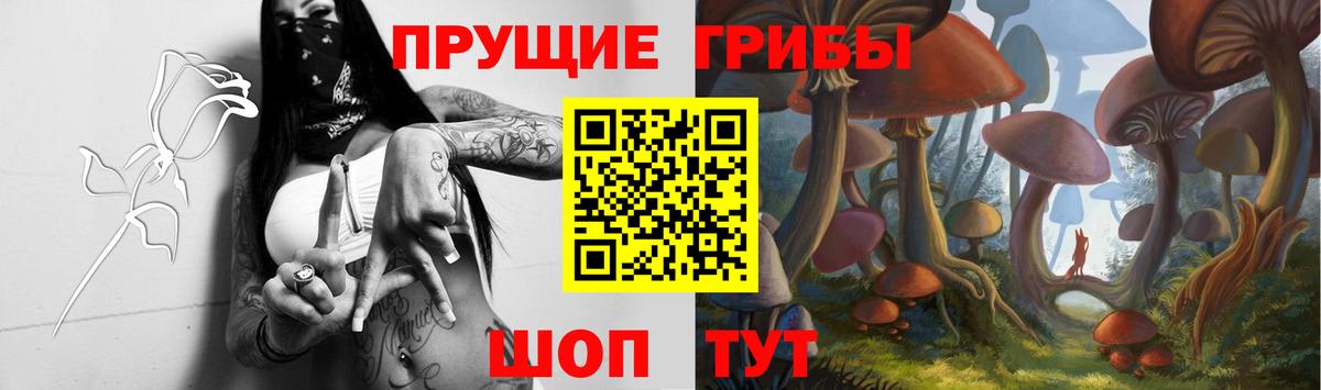 Галлюциногенные грибы мухоморы Мценск